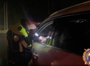 Пьяные за рулем и дети без кресел: сколько нарушителей поймала Тульская госавтоинспекция с начала выходных