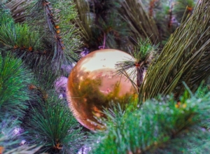 Рекордно длинные каникулы ждут туляков в январе