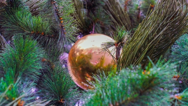 Ð ÐµÐºÐ¾ÑÐ´Ð½Ð¾ Ð´Ð»Ð¸Ð½Ð½ÑÐµ ÐºÐ°Ð½Ð¸ÐºÑÐ»Ñ Ð¶Ð´ÑÑ ÑÑÐ»ÑÐºÐ¾Ð² Ð² ÑÐ½Ð²Ð°ÑÐµ