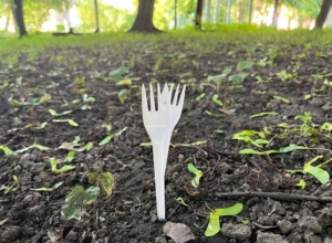 Тульские ученые создали саморазлагающийся безопасный пластик из растений