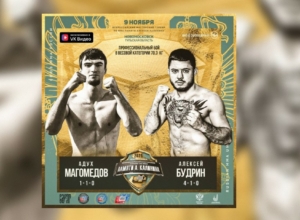 Житель Новомосковска примет участие во Всероссийском турнире по ММА