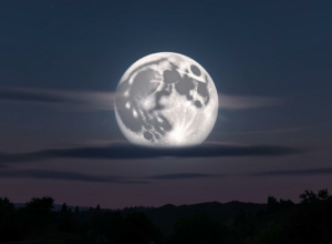 Суперлуние и звездопад смогут наблюдать туляки в ноябре