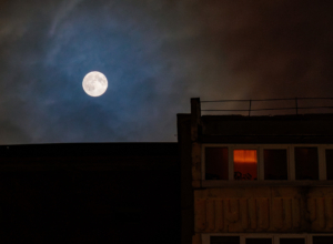 Туляки наблюдали «бобровое суперлуние». Фоторепортаж