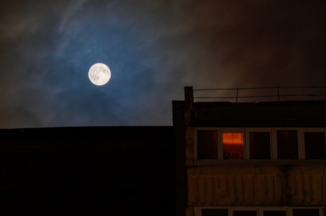 Ð¢ÑÐ»ÑÐºÐ¸ Ð½Ð°Ð±Ð»ÑÐ´Ð°Ð»Ð¸ Â«Ð±Ð¾Ð±ÑÐ¾Ð²Ð¾Ðµ ÑÑÐ¿ÐµÑÐ»ÑÐ½Ð¸ÐµÂ». Ð¤Ð¾ÑÐ¾ÑÐµÐ¿Ð¾ÑÑÐ°Ð¶