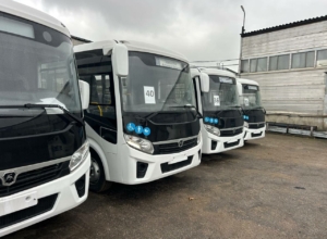 В Туле на маршруты выйдут еще 20 новых автобусов