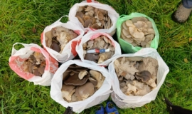 ÐÐ·Ð°ÑÑ, Ð²Ð¾ÑÑÐ¾ÑÐ³, Ð¾ÑÑÐ°ÑÐ½Ð¸Ðµ: ÑÑÐ»ÑÑÐºÐ° Ð·Ð° Ð¿Ð¾Ð»ÑÐ¾ÑÐ° ÑÐ°ÑÐ° ÑÐ¾Ð±ÑÐ°Ð»Ð° 47 ÐºÐ³ Ð²ÐµÑÐµÐ½Ð¾Ðº