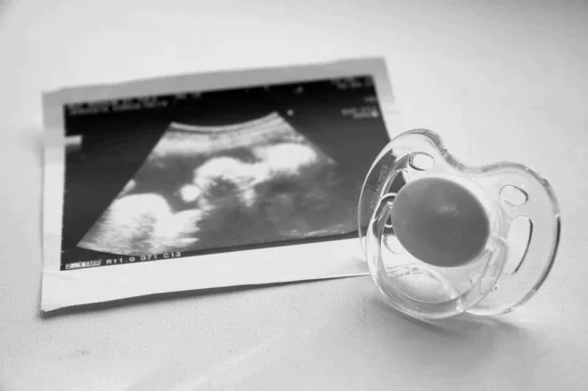 Ð Ð¢ÑÐ»ÑÑÐºÐ¾Ð¹ Ð¾Ð±Ð»Ð°ÑÑÐ¸ Ð¿Ð¾ÑÑÐ°ÑÐ¸Ð»Ð¸ 770 Ð¼Ð»Ð½ ÑÑÐ±Ð»ÐµÐ¹ Ð½Ð° Ð¿Ð¾ÑÐ¾Ð±Ð¸Ñ Ð¿Ð¾ Ð±ÐµÑÐµÐ¼ÐµÐ½Ð½Ð¾ÑÑÐ¸ Ð¸ ÑÐ¾Ð´Ð°Ð¼ Ñ Ð½Ð°ÑÐ°Ð»Ð° Ð³Ð¾Ð´Ð°