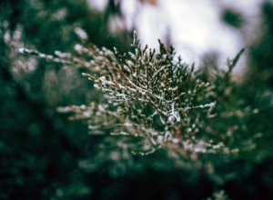 Синоптик Вильфанд заявил об аномально холодной зиме