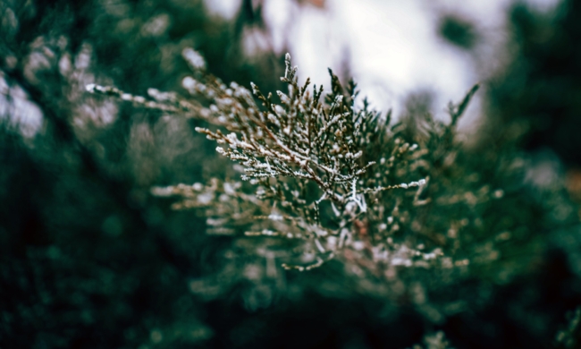 Ð¡Ð¸Ð½Ð¾Ð¿ÑÐ¸Ðº ÐÐ¸Ð»ÑÑÐ°Ð½Ð´ Ð·Ð°ÑÐ²Ð¸Ð» Ð¾Ð± Ð°Ð½Ð¾Ð¼Ð°Ð»ÑÐ½Ð¾ ÑÐ¾Ð»Ð¾Ð´Ð½Ð¾Ð¹ Ð·Ð¸Ð¼Ðµ