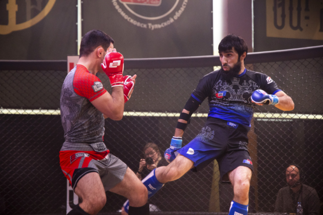 Ð ÐÐ¾Ð²Ð¾Ð¼Ð¾ÑÐºÐ¾Ð²ÑÐºÐµ ÑÐ¾ÑÑÐ¾ÑÐ»ÑÑ ÑÑÑÐ½Ð¸Ñ Ð¿Ð¾ MMA Ð¿Ð°Ð¼ÑÑÐ¸ ÐÐ»ÐµÐºÑÐµÑ ÐÐ°Ð»Ð¸Ð½Ð¸Ð½Ð°. Ð¤Ð¾ÑÐ¾ÑÐµÐ¿Ð¾ÑÑÐ°Ð¶