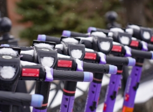 Тульскую область ждет теплая пятница и заморозки до минус трех в выходные