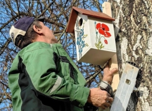 В Богородицком дворце-музее отпразднуют Синичкин день