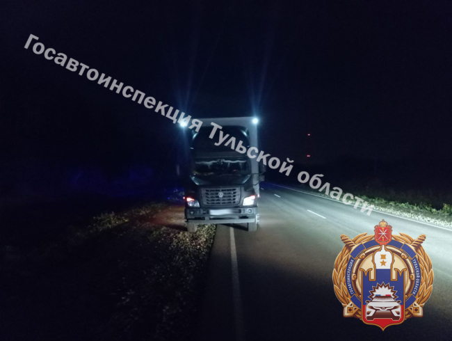 ÐÐµÐ»Ð¾ÑÐ¸Ð¿ÐµÐ´Ð¸ÑÑ Ð¿Ð¾Ð¿Ð°Ð» Ð¿Ð¾Ð´ ÐºÐ¾Ð»ÐµÑÐ° Ð³ÑÑÐ·Ð¾Ð²Ð¾Ð¹ Â«Ð³Ð°Ð·ÐµÐ»Ð¸Â» Ð² Ð¢ÐµÐ¿Ð»Ð¾-ÐÐ³Ð°ÑÐµÐ²ÑÐºÐ¾Ð¼ ÑÐ°Ð¹Ð¾Ð½Ðµ