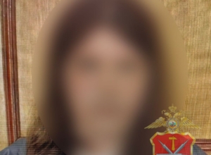 Дворник из Новомосковска воспользовалась картой коллеги, чтобы оплатить покупку на WB