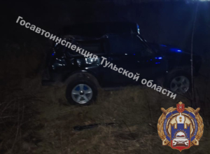 Под Тулой «Лада» улетела в кювет