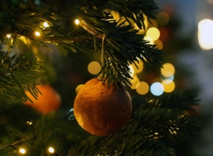 Какой сладкий подарок получат туляки на губернаторских елках