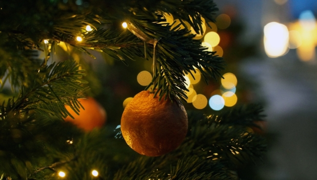 ÐÐ°ÐºÐ¾Ð¹ ÑÐ»Ð°Ð´ÐºÐ¸Ð¹ Ð¿Ð¾Ð´Ð°ÑÐ¾Ðº Ð¿Ð¾Ð»ÑÑÐ°Ñ ÑÑÐ»ÑÐºÐ¸ Ð½Ð° Ð³ÑÐ±ÐµÑÐ½Ð°ÑÐ¾ÑÑÐºÐ¸Ñ ÐµÐ»ÐºÐ°Ñ