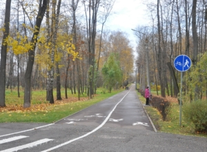 «Под футбол не пригодно»: тренер показал состояние поля в Комсомольском парке Тулы