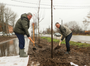 Илья Беспалов: «Вдоль веломаршрута «Лев Толстой» в этом году высадим более 180 деревьев»