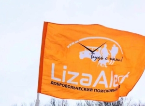 В Тульской области в октябре поисковики нашли живыми 51 человека