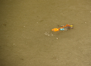 «Враг не щадит ни стариков, ни детей»: после трагедии в Красногорске тулякам напомнили правила безопасности