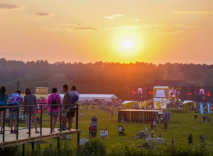 Тульский проект «Дикая Мята» стал финалистом всероссийской премии