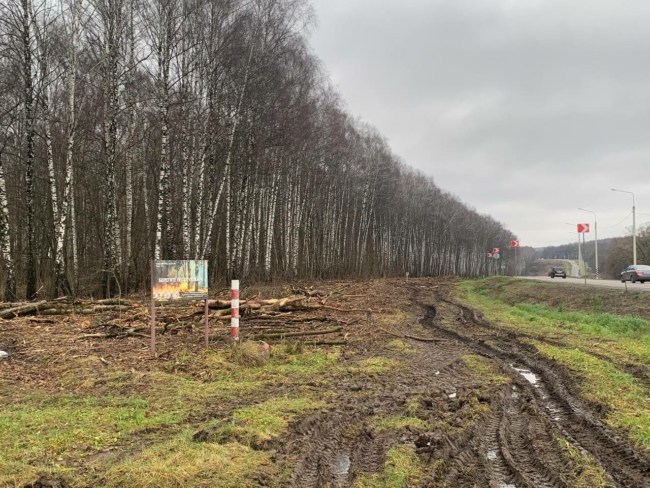 Ð§ÑÐ¾ Ð¾ÑÐ²ÐµÑÐ¸Ð»Ð¸ Ð²Ð»Ð°ÑÑÐ¸ Ð½Ð° Ð¼Ð°ÑÑÐ¾Ð²ÑÑ Ð²ÑÑÑÐ±ÐºÑ Ð´ÐµÑÐµÐ²ÑÐµÐ² Ð² Ð´ÐµÑÐµÐ²Ð½Ðµ Ð¯ÑÐ½Ð°Ñ ÐÐ¾Ð»ÑÐ½Ð°