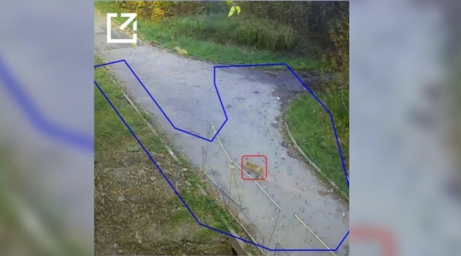 Ð ÑÑÐ»ÑÑÐºÐ¾Ð¼ Ð¿Ð°ÑÐºÐµ ÐÐ Ð·Ð°Ð¼ÐµÑÐ¸Ð» Ð»Ð¸ÑÑ