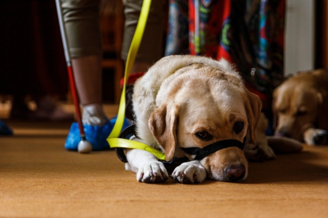 Ð Ð¯ÑÐ½Ð¾Ð¹ ÐÐ¾Ð»ÑÐ½Ðµ Ð¾ÑÐ³Ð°Ð½Ð¸Ð·ÑÑÑ Ð±ÐµÑÐ¿Ð»Ð°ÑÐ½ÑÐµ Ð¼ÐµÑÐ¾Ð¿ÑÐ¸ÑÑÐ¸Ñ Ð´Ð»Ñ Ð»ÑÐ´ÐµÐ¹ Ñ ÐÐÐ