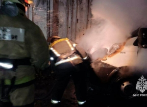 Сколько пожаров и последствий ДТП ликвидировали тульские спасатели за сутки