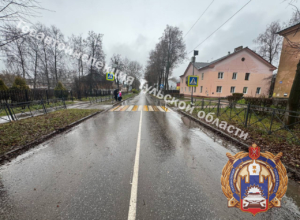 Под Тулой водитель Ssang Yong сбил на пешеходном переходе женщину