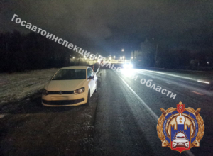 Под Тулой мужчина решил перебежать оживленную трассу и попал под машину