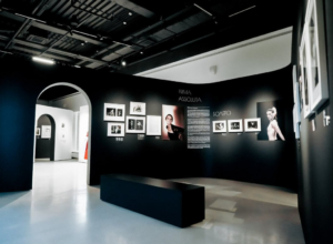 Выставка о Плисецкой с костюмами и мультимедиа откроется в тульском «Фонде искусств»