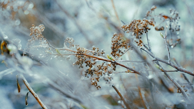 ÐÐ· ÑÐµÐ½ÑÑÐ±ÑÑ â Ð² ÑÐ½Ð²Ð°ÑÑ: Ð² Ð¢ÑÐ»ÑÑÐºÐ¾Ð¹ Ð¾Ð±Ð»Ð°ÑÑÐ¸ ÑÐµÐ·ÐºÐ¾ Ð¿Ð¾ÑÐ¾Ð»Ð¾Ð´Ð°ÐµÑ