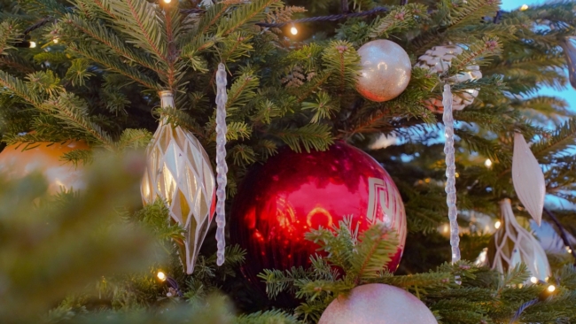 ÐÐ¾Ð²Ð¾Ð³Ð¾Ð´Ð½Ð¸Ðµ Ð²ÑÑÐ¾Ð´Ð½ÑÐµ Ð´Ð»Ñ ÑÑÐ»ÑÐºÐ¾Ð² Ð¿ÑÐ¾Ð´Ð»ÑÑÑÑ Ð¿Ð¾ÑÑÐ¸ Ð´Ð²Ðµ Ð½ÐµÐ´ÐµÐ»Ð¸