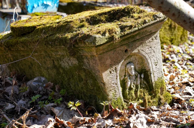 Ð Ð¢ÑÐ»ÑÑÐºÐ¾Ð¹ Ð¾Ð±Ð»Ð°ÑÑÐ¸ ÑÐ¾Ð´ÑÑÐ²ÐµÐ½Ð½Ð¸ÑÐ° Ð¿Ð¾ÑÐ¾ÑÐ¾Ð½Ð¸Ð»Ð° Ð¶Ð¸Ð²Ð¾Ð³Ð¾ Ð¿Ð»ÐµÐ¼ÑÐ½Ð½Ð¸ÐºÐ° Ð¸ Ð·Ð°Ð²Ð»Ð°Ð´ÐµÐ»Ð° ÐµÐ³Ð¾ Ð¶Ð¸Ð»ÑÐµÐ¼