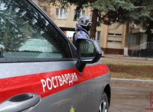 Тульские росгвардейцы подвели итоги недели: 150 выездов и десятки нарушений