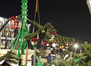 На площади Ленина появились первые ветви тульской новогодней ели