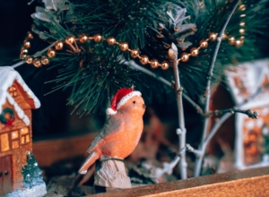 Больше пяти тысяч рублей: в Туле подорожал минимальный набор новогодних украшений