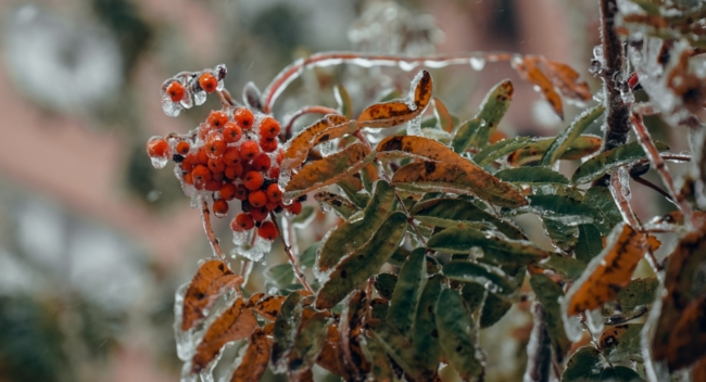 Ð¥Ð¾Ð»Ð¾Ð´Ð½ÑÐ¹ ÑÑÐ¾Ð½Ñ Ð¿ÑÐ¸Ð´ÐµÑ Ð½Ð° ÑÐ¼ÐµÐ½Ñ ÑÐµÐ·ÐºÐ¾Ð¼Ñ Ð¿Ð¾ÑÐµÐ¿Ð»ÐµÐ½Ð¸Ñ Ð² Ð¦ÐµÐ½ÑÑÐ°Ð»ÑÐ½Ð¾Ð¹ Ð Ð¾ÑÑÐ¸Ð¸