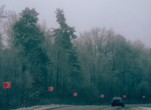 Тульскую область накроет туман