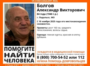 Разыскивается Александр Бологов из Подольска: он может находиться в Тульской области