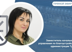 Туляки смогут задать властям вопросы по благоустройству города