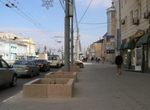 Что высадят в новых бетонных модулях в Туле