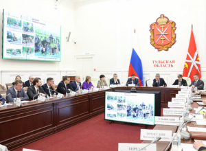 Пляж в Центральном парке Тулы увеличат в 2,5 раза