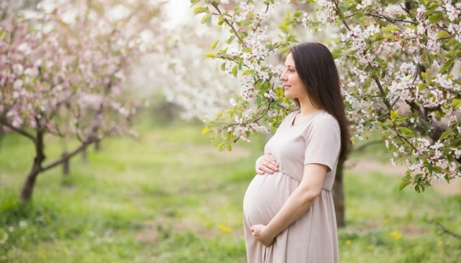 Ð§Ð¸ÑÐ»Ð¾ ÑÑÐ»ÑÑÐµÐº ÑÐµÑÑÐ¸Ð»ÑÐ½Ð¾Ð³Ð¾ Ð²Ð¾Ð·ÑÐ°ÑÑÐ° ÑÐ¾ÐºÑÐ°ÑÐ¸Ð»Ð¾ÑÑ Ð½Ð° 20 ÑÑÑÑÑ Ð·Ð° Ð¿ÑÑÑ Ð»ÐµÑ