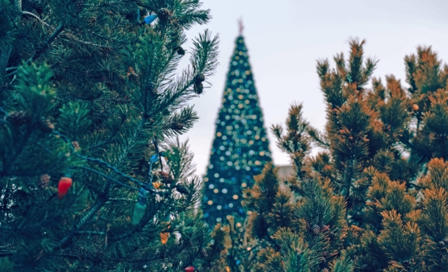 ÐÐ° Ð·Ð°ÑÐµÐ´Ð°Ð½Ð¸Ð¸ Ð¢ÑÐ»ÑÑÐºÐ¾Ð¹ Ð¾Ð±Ð»Ð´ÑÐ¼Ñ Ð¾Ð±ÑÑÐ´Ð¸Ð»Ð¸ ÑÐµÐ»ÐµÑÐ¾Ð¾Ð±ÑÐ°Ð·Ð½Ð¾ÑÑÑ ÑÑÐ°Ñ Ð½Ð° Ð½Ð¾Ð²Ð¾Ð³Ð¾Ð´Ð½ÑÑ ÐµÐ»ÐºÑ Ð¸ ÐºÐ°ÑÐ¾Ðº