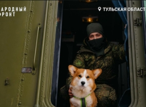 В Тульской области служит боец СВО с корги Бафиком