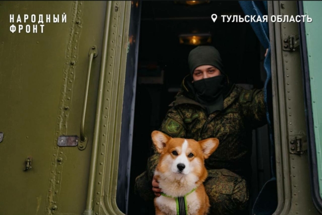 Ð Ð¢ÑÐ»ÑÑÐºÐ¾Ð¹ Ð¾Ð±Ð»Ð°ÑÑÐ¸ ÑÐ»ÑÐ¶Ð¸Ñ Ð±Ð¾ÐµÑ Ð¡ÐÐ Ñ ÐºÐ¾ÑÐ³Ð¸ ÐÐ°ÑÐ¸ÐºÐ¾Ð¼