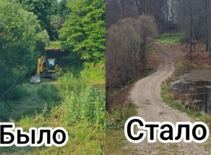 В Ясногорском районе отремонтировали плотину по просьбе жителей деревни Вележево